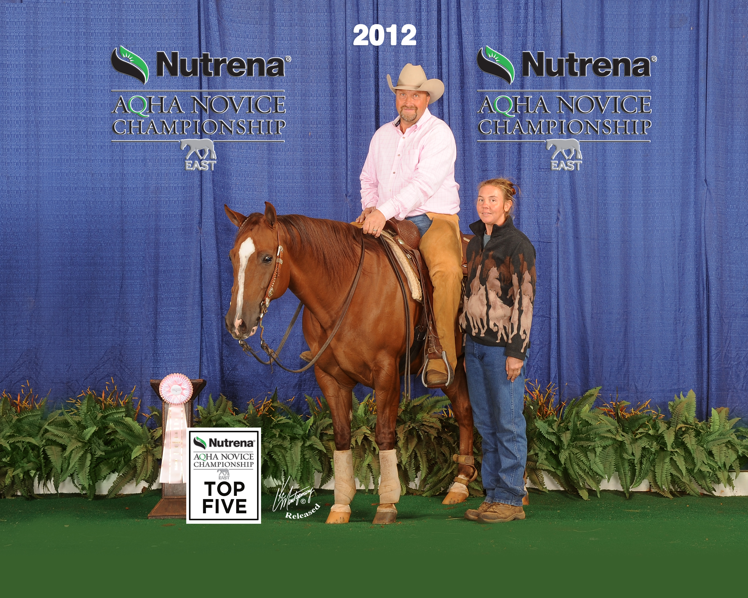 Major Sparks Flying & Kevin McCall 2012 AQHA Novice World Top 5 